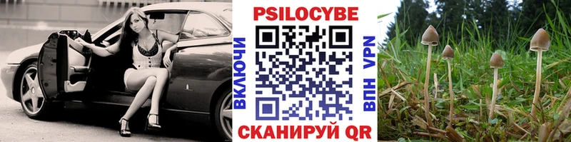 Купить закладки  Кирово-Чепецк  Галлюциногенные грибы Cubensis 